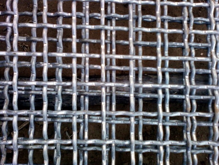 電鍍鋅軋花網(wǎng)-www.bzbjsd.cn