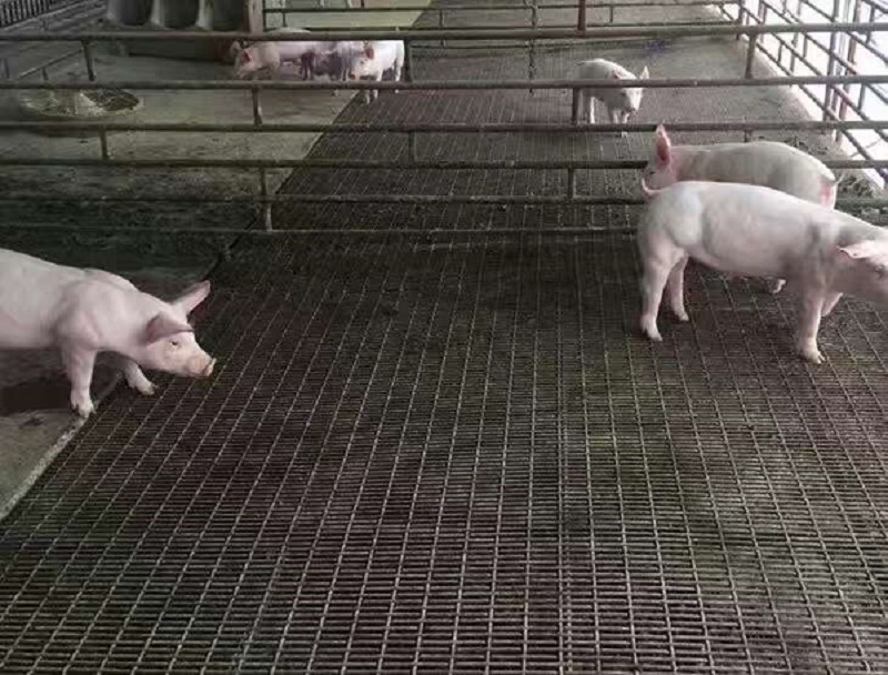 FziW(wng)-www.bzbjsd.cn